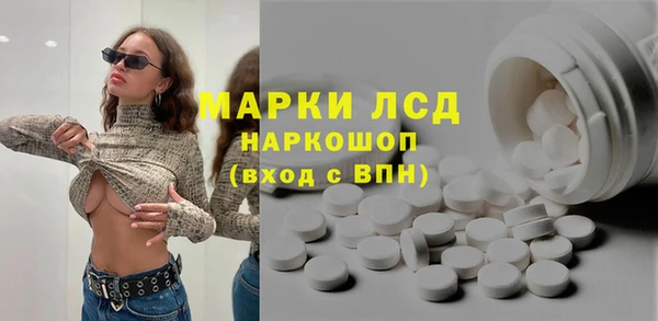 ГАЛЛЮЦИНОГЕННЫЕ ГРИБЫ Верея