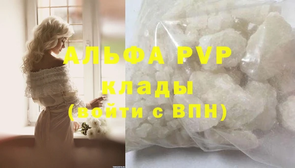 индика Верхний Тагил