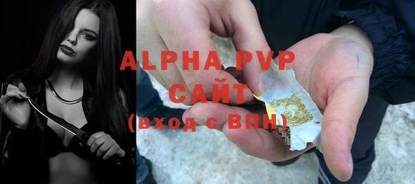 ГАЛЛЮЦИНОГЕННЫЕ ГРИБЫ Верея