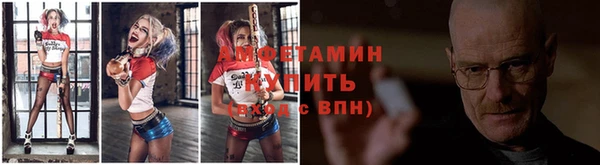 ГАЛЛЮЦИНОГЕННЫЕ ГРИБЫ Верея