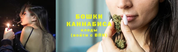 индика Верхний Тагил