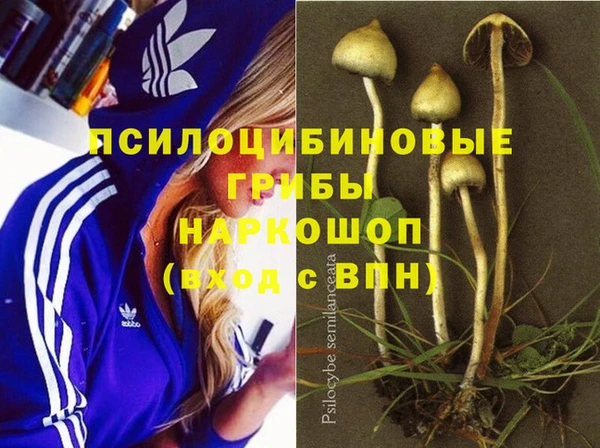 мдма Снежногорск