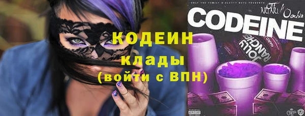 эйфоретик Заречный
