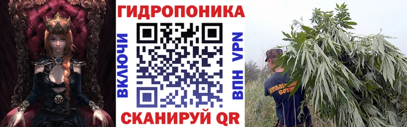 Шишки марихуана LSD WEED  shop какой сайт  Кизляр  hydra зеркало 